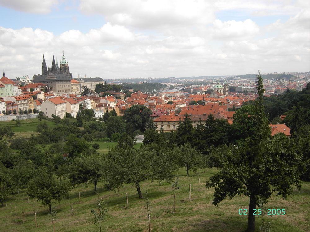 Little Town Budget Hotel Praga Exterior foto